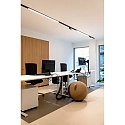 Wever & Ducré LED Track spot CENO ON TRACK 2.0 for STREX SYSTEM 48V, 2700K, not dimmable, white