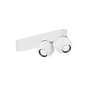 LED Deckenleuchte LECA 2.0, 2-flammig, 15W 2700K 1170lm 31°, CRi >90, kardanisch, Clipfedern, mattweiß
