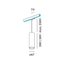 Wever & Ducré 3-Phasen Pendelleuchte RAY on track 3.0 - PAR16, 30cm / 250cm, zylindrisch, GU10 max. 12W, inkl. Adapter, kupfer