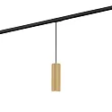 1-Phasen Pendelleuchte RAY SUSP ON TRACK 1-PHASE 2.0 PAR16 M max. 12W GU10 100-240VAC, champagner