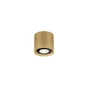 Deckenspot RAY MINI CEILING SURF 1.0 PAR16 M max. 12W GU10 100-240VAC, champagner