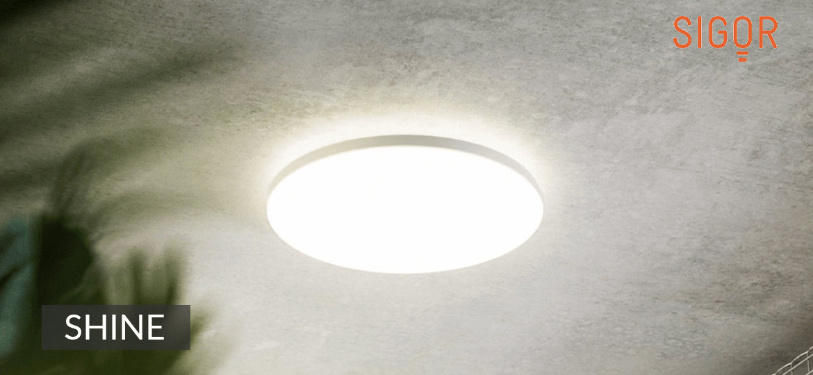 SIGOR SHINE